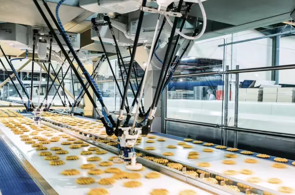 Delta robotok működés közben – gyors pick-and-place élelmiszeripari alkalmazásban